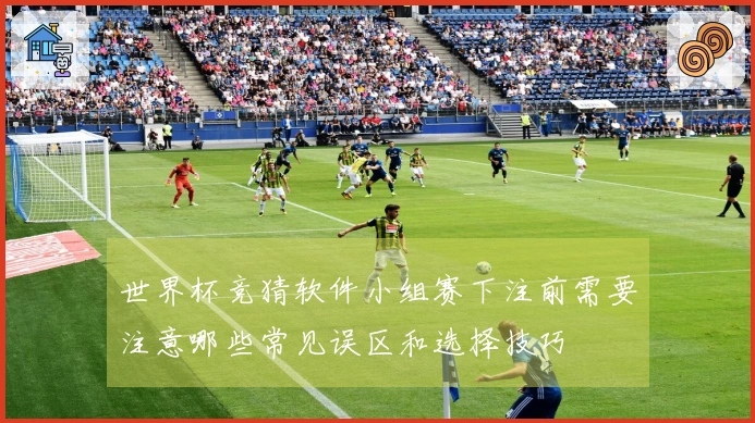 世界杯竞猜软件小组赛下注前需要注意哪些常见误区和选择技巧